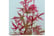 ACER_PHOEN1743498959629