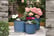 PLAN_CYCLI1744090953156