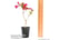weigel-tow1744347551660