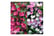 Weig-duo.j1744347560665