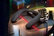 Neck_original_1746797831.jpg