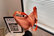 scre_original_1746777728.jpg