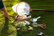 O1CN_original_1746778088.jpg
