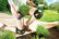 711F_original_1747981999.jpg