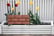 feed_opt_google_