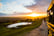 Sunset Safari at Port Lympne