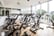 MGymV4