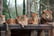 Digital Animal Adoption with Entry to Howletts Wild Animal Park for Two 