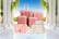 feed_opt_google_15