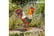 G4020-11.j1745847052444