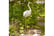 G4021-11.j1745847054787