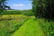 greenery