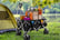 feed_opt_google_10