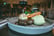 Open Spend Voucher on Food & Drinks for 2 at The Fuzzy Beak in Whitehead