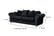 Black-Ashw1746524638282