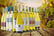 Laithwaites-Wine---12-bottles-of-red-white-or-mixed-JAN1