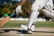 Cricket Stock Image