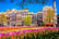 Amsterdam Tulips Stock Image