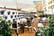 Hotel El Faro Marbella Terrace