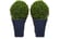 Topiary Buxus Plants