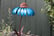 Sensation-Pink--Blue-Coneflower-Bird-Feeder-6