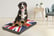 Union-Jack-Dog-Bed-1