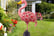 FLAMINGO-3