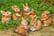 Rabbit-Family-Garden-Ornament-1