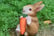 Rabbit-Family-Garden-Ornament-7