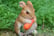 Rabbit-Family-Garden-Ornament-9