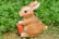 Rabbit-Family-Garden-Ornament-10