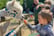 Alpaca Walking Experience – For 1, 2 or 4 – Warrington