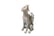 Puppy-Angel-Garden-Ornament-2