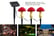 Garden-Solar-Mushroom-String-Lights-info-image