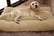 Sherpa-Wool-Faux-Fur-Dog-Bed-1