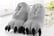 Cartoon-Animal-Paw-Home-Plush-Slippers-6