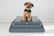 1-LEAD-TARGET-PRODUCT-DELUX-SELF-WARMING-PET-BED,-DOGS-&-CATS