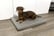 LUXURY-MEMORY-FOAM-ORTHOPAEDIC-DOG-BED-1