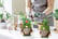Succulent-Faux-Plant-Garden-Gnomes-3