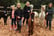 Alpaca Walk: 90-Minutes for 1, 2 or 4 – Includes Refreshments