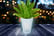 Solar-Powered-LED-Plant-Pots-LEAD