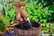 Fir-Wood-Barrel-Pump-Fountain-3