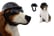 PETS-SAFETY-RIDDING-CAP-1