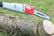 Eckman-8ft-10in-750W-Telescopic-Chainsaw-2