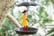 Umbrella-Bird-Feeder-Feeding-Station-1