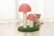 Cute-Mushrooms-Cat-Scratcher-6