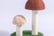 Cute-Mushrooms-Cat-Scratcher-7