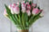  50% Discount Voucher for Tulips 