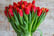  50% Discount Voucher for Tulips 