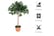 Artificial-Olive-Tree-Plant-7